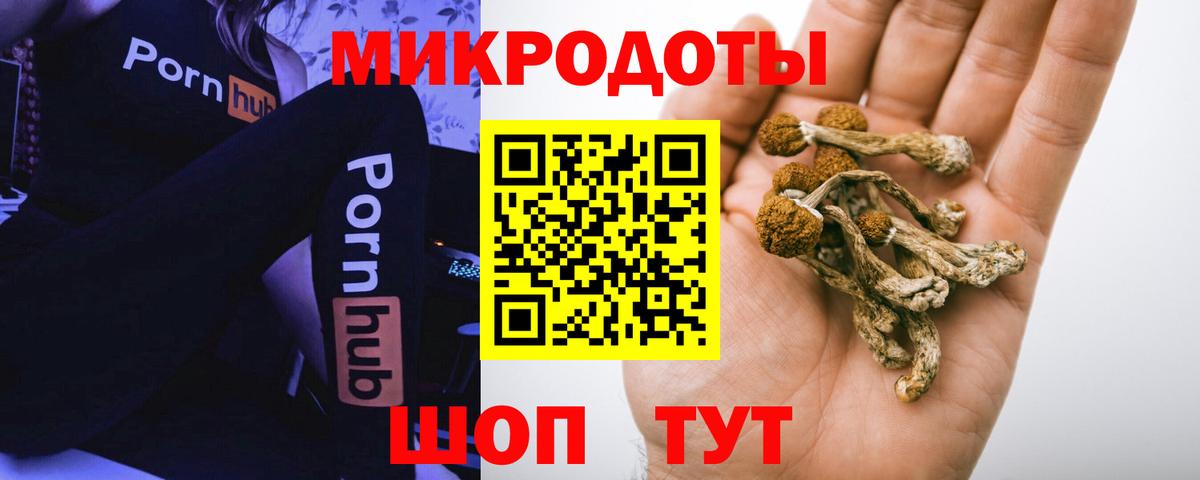 Белая Калитва  Галлюциногенные грибы GOLDEN TEACHER  даркнет сайт  Вход с VPN  Галлюциногенные грибы прущие грибы 